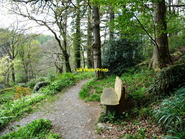 Photo 6"x4" Woodland and wildlife garden at Ty Hyll Capel Curig c2017