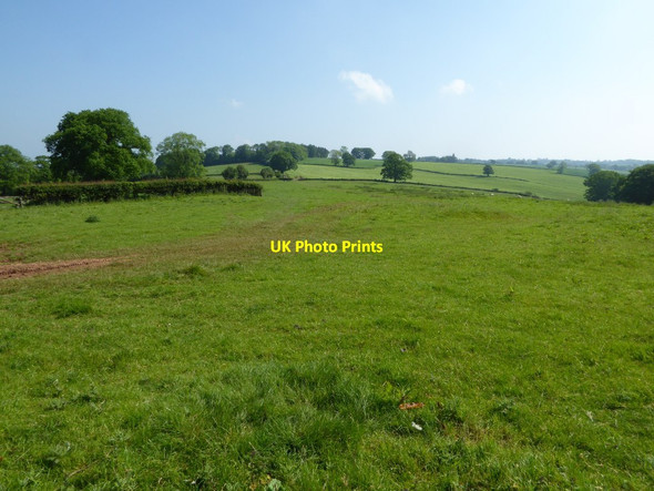 Photo 6"x4" View to Bockleton Grove Bockleton c2017