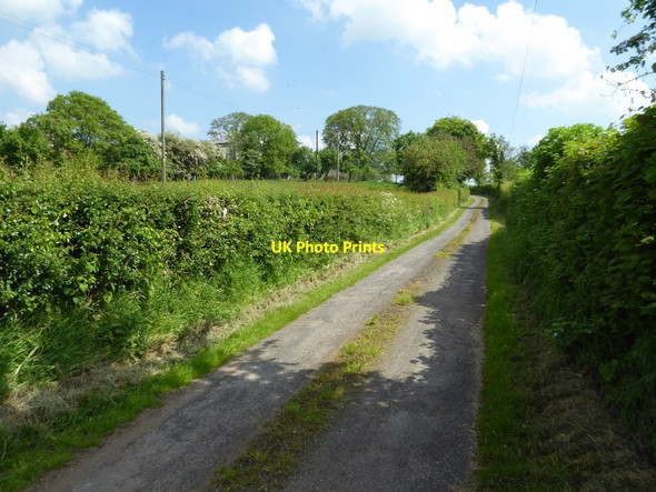 Photo 6"x4" Country road Leysters c2017