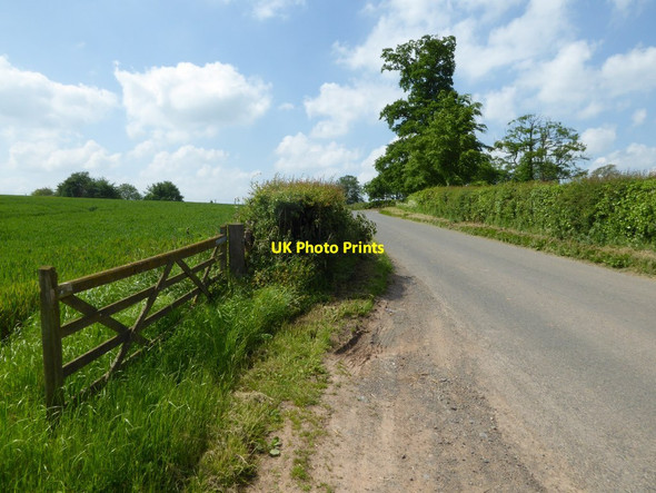 Photo 6"x4" Bockleton Road Kyre Green c2017