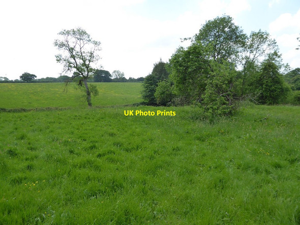 Photo 6"x4" Farmland to the west of Tenbury Wells Berrington\/SO5767 c2017