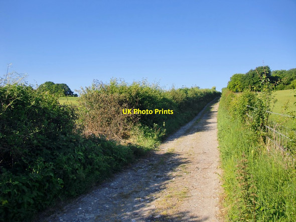 Photo 6"x4" Farm track towards Bentley Wood Commo c2017