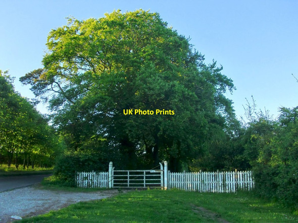 Photo 6"x4" Disused entrance to New Manor Farm Firsdown c2017