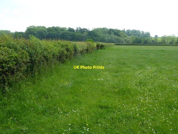 Photo 6"x4" Farmland at Little Hereford Middleton\/SO5469 c2017