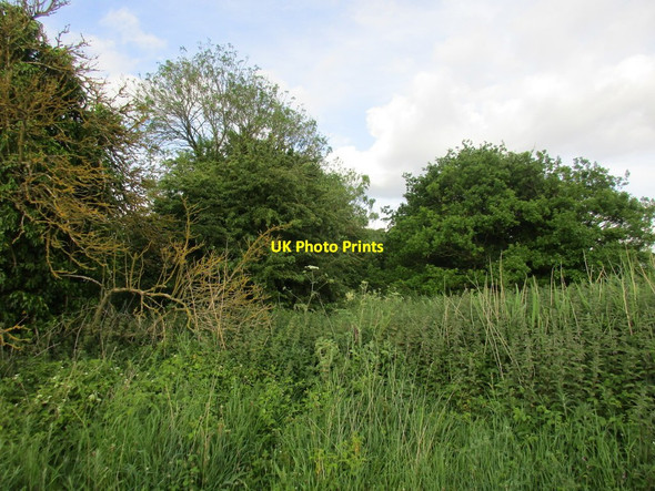 Photo 6"x4" Course of the former Hull and Barnsley Railway Asselby c2017