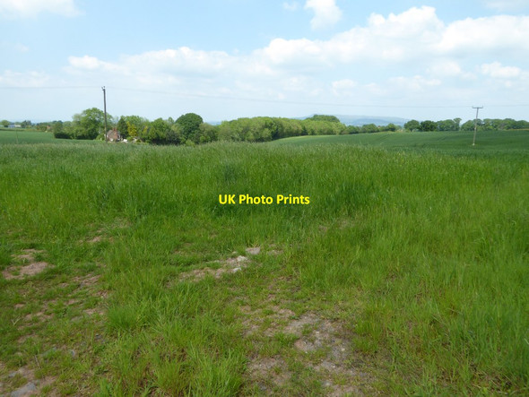 Photo 6"x4" Farmland near Miles Hope Leysters c2017