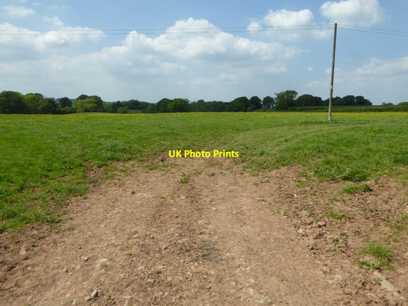 Photo 6"x4" Farmland to the west of Cinders Lane St Michaels\/SO5865 c2017