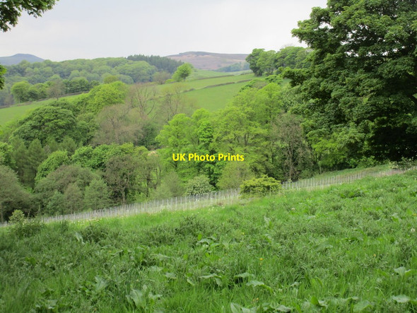 Photo 6"x4" View over Hope Valley Vineyard Hathersage c2017
