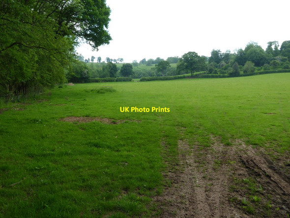 Photo 6"x4" Field below Lower Barn Leysters c2017