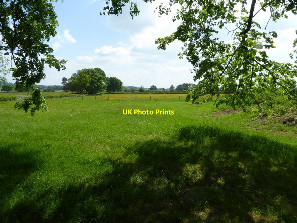 Photo 6"x4" Farmland to the south of Leysters church Leysters c2017