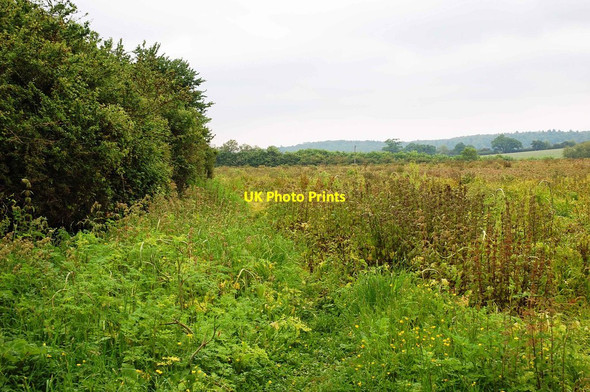 Photo 6"x4" Field near High Cogges, Witney, Oxon Witney c2017 P1