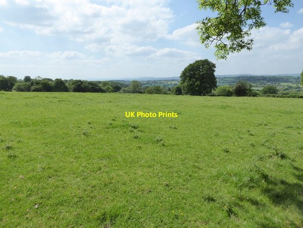 Photo 6"x4" Farmland at Middleton on the Hill Middleton on the Hill c2017