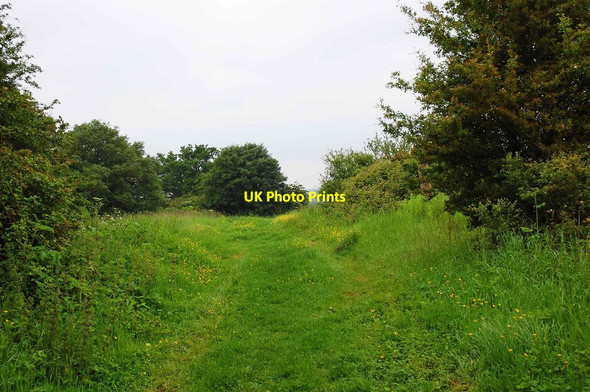 Photo 6"x4" Track near High Cogges, Witney, Oxon Witney c2017