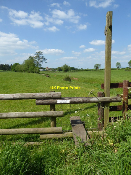 Photo 6"x4" Footpath to Middleton on the Hill church Middleton on the Hill c2017
