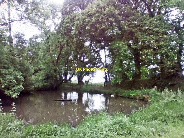 Photo 6"x4" Pond at Godworthy Farm Furley c2017