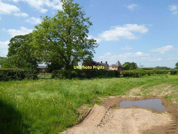 Photo 6"x4" Farmland near New House Kimbolton\/SO5261 c2017