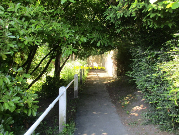 Photo 6"x4" Path to Main Street, North Dalton North Dalton c2017