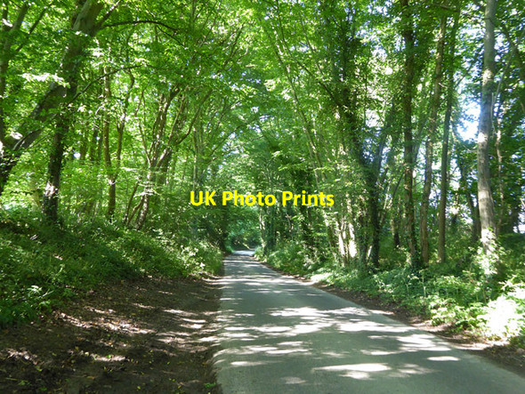 Photo 6"x4" Hinksden Road Woodsden\/TQ7731 c2017