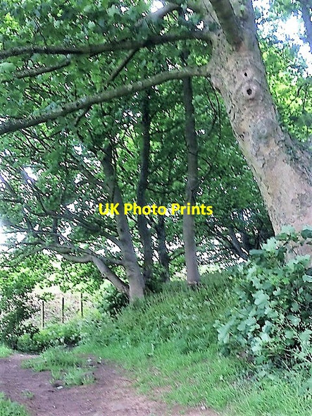 Photo 6"x4" The footpath up on to Stanton Moor from Lees Road Birchover c2017