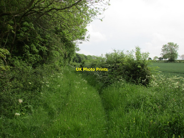 Photo 6"x4" Track alongside Ling Walk Sledmere c2017