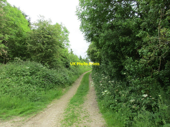 Photo 6"x4" Bridleway to Tibthorpe Wetwang c2017