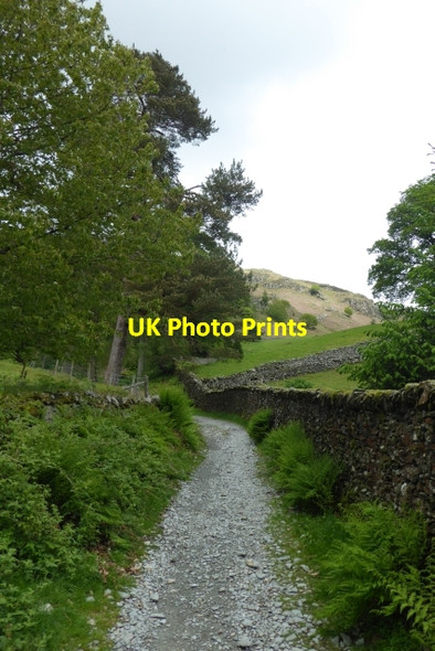 Photo 6"x4" Bridleway towards Loughrigg Skelwith Bridge c2017
