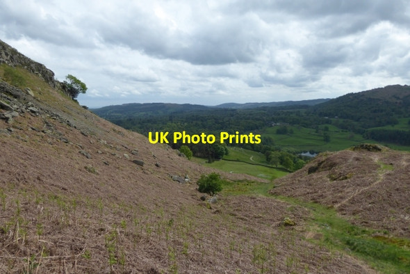 Photo 6"x4" Beside Ivy Crag Ambleside c2017