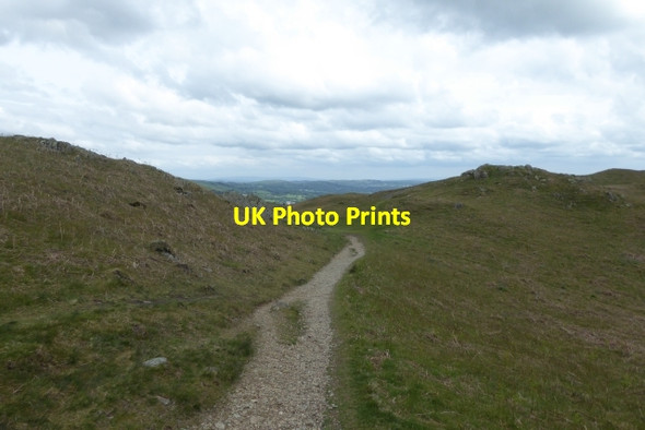 Photo 6"x4" Path on Loughrigg Ambleside c2017