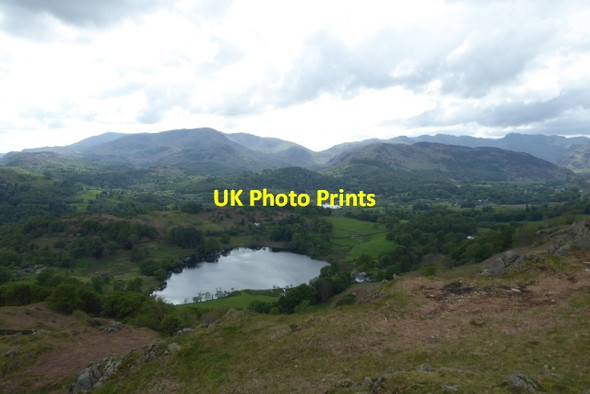 Photo 6"x4" Looking down towards the tarn Ambleside c2017