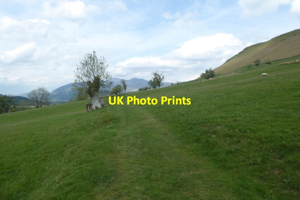 Photo 6"x4" Path over farmland Newlands\/NY2320 c2017