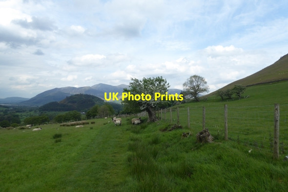 Photo 6"x4" Footpath to Skelgill Newlands\/NY2320 c2017