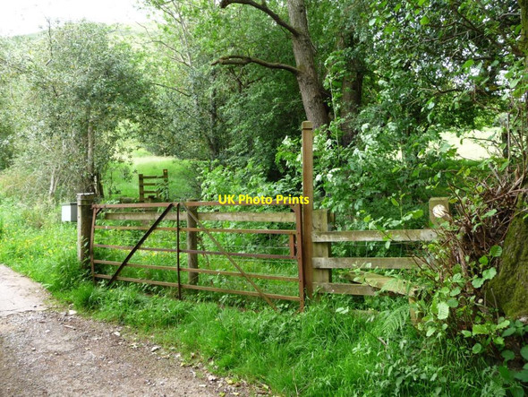Photo 6"x4" Public footpath to Loxidge Llanthony c2017