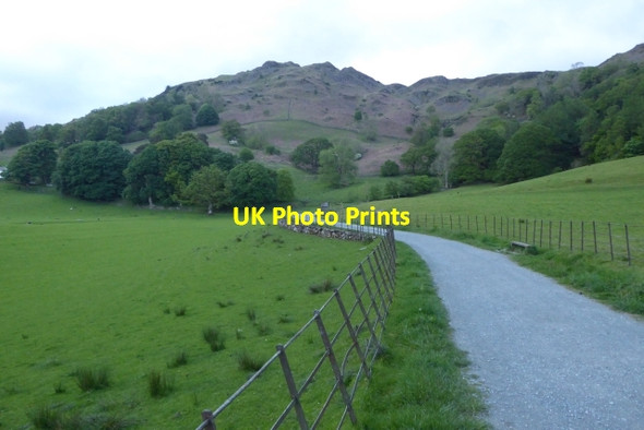 Photo 6"x4" Path under Loughrigg Fell Skelwith Bridge c2017
