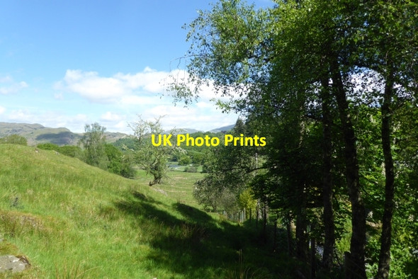 Photo 6"x4" Fields near Park House Skelwith Bridge c2017