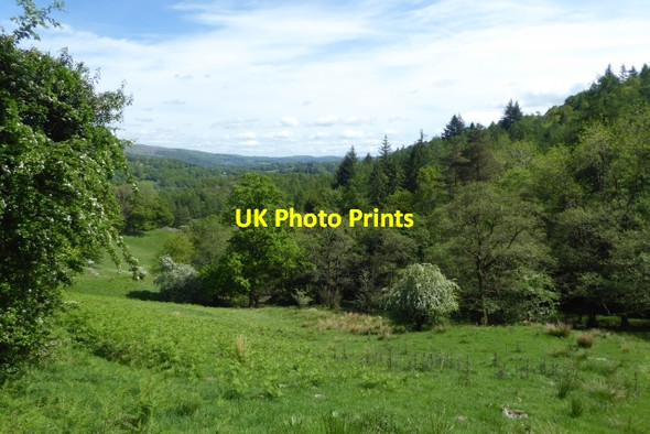 Photo 6"x4" Towards Fletcher's Wood Elterwater c2017