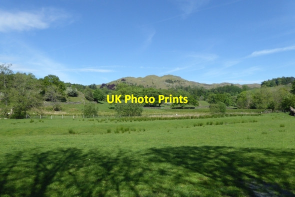 Photo 6"x4" From the Elterwater footpath Elterwater c2017