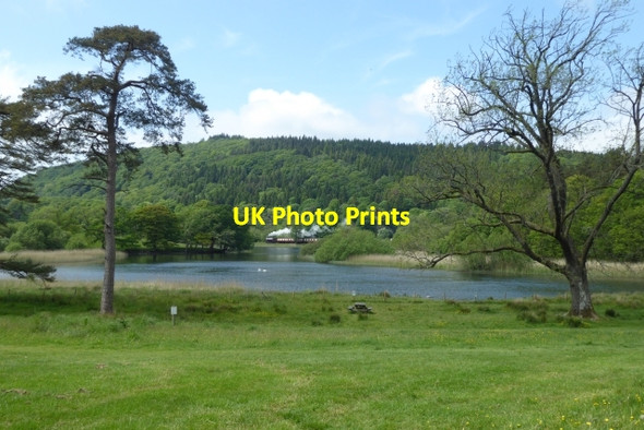 Photo 6"x4" Train on the river bank Newby Bridge c2017