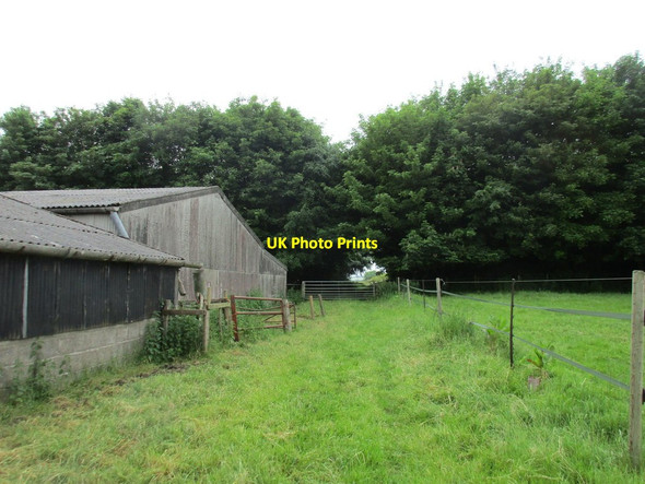 Photo 6"x4" Bridleway at Mill Farm Sledmere c2017