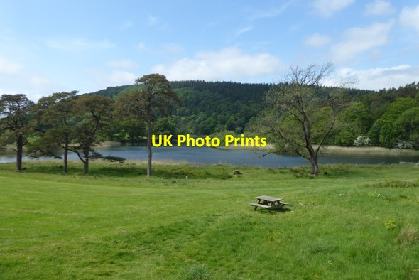 Photo 6"x4" Picnic bench beside the Leven Newby Bridge c2017