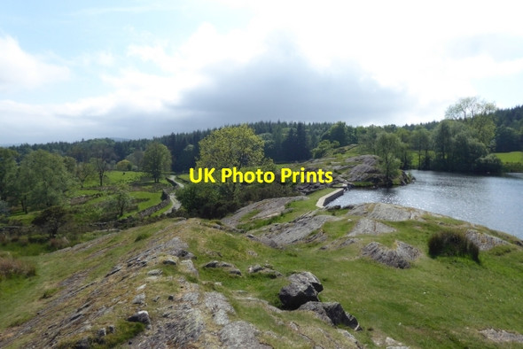 Photo 6"x4" Edge of Moss Eccles Tarn Far Sawrey c2017