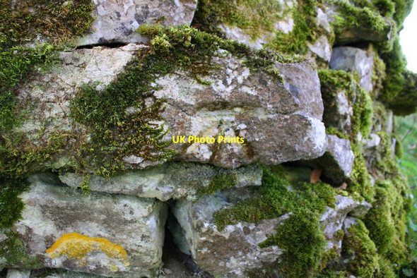 Photo 6"x4" Benchmark on stone in dry stone wall near Cowside Farm Langcliffe\/SD8265 c2017
