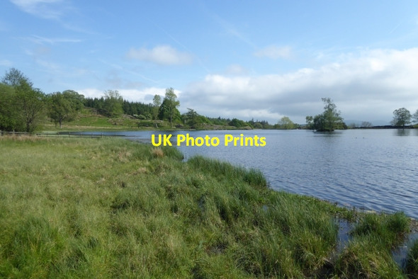 Photo 6"x4" Marshy land beside the tarn Far Sawrey c2017