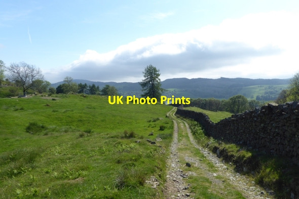 Photo 6"x4" Track to Near Sawrey Far Sawrey c2017