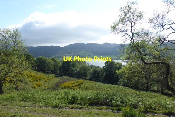 Photo 6"x4" View towards Esthwaite Water Far Sawrey c2017