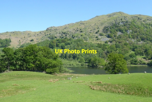 Photo 6"x4" Towards Rydal Water Ambleside c2017