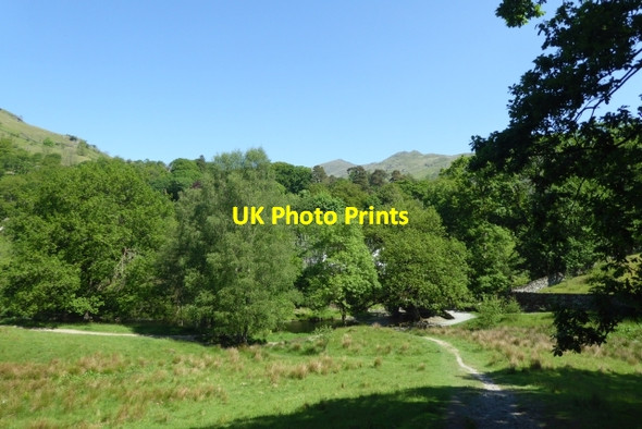 Photo 6"x4" Path to Rydal Ambleside c2017