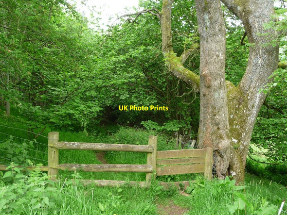 Photo 6"x4" Over the stile to Llanthony, east of Troed Rhiw Mon Llanthony c2017