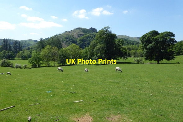 Photo 6"x4" Farmland between Rydal and Ambleside Ambleside c2017