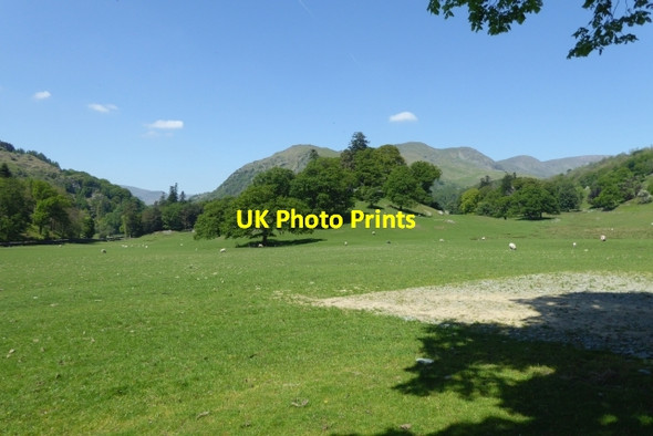 Photo 6"x4" Across farmland to Rydal Ambleside c2017