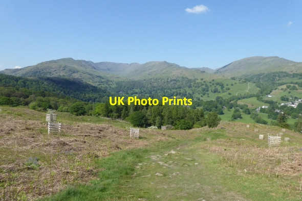 Photo 6"x4" Path on Loughrigg Ambleside c2017